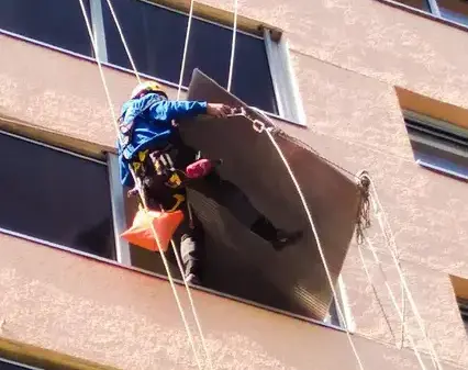 arboriste grimpeur Rennes-1